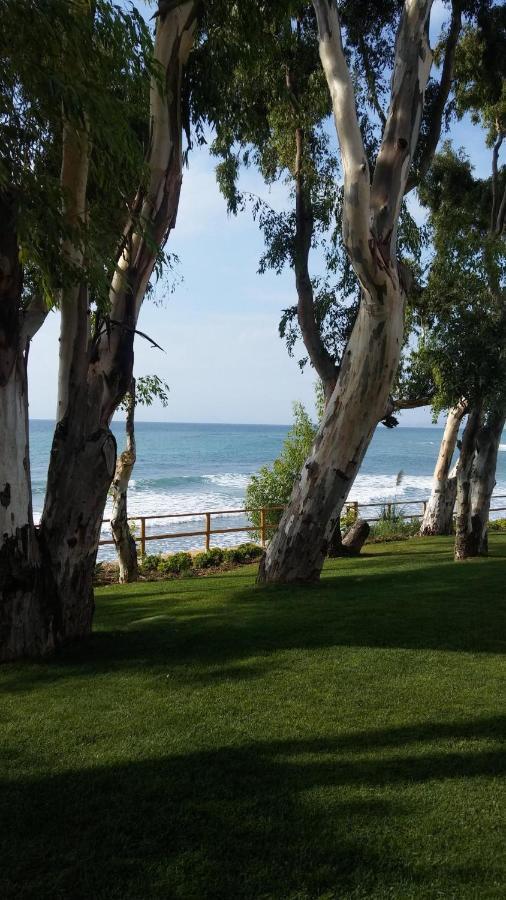 Appartamento Bahia De La Plata Seafront Estepona Esterno foto